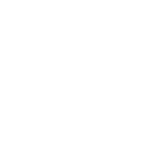 Zoom icon